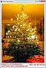 2000-tannenbaum-2013-12-25_223606-.jpg