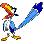 Bird313's Avatar