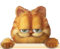 Benutzerbild von Garfield